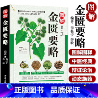 [正版]金匮要略全本图解中医名著文白对照通俗易懂张仲景原著加白话注释译文中医基础理论大全中医四大经典之医学类自学入门图