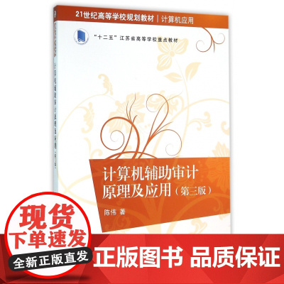 计算机辅助审计原理及应用(计算机应用第3版21世纪高等学