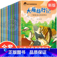 奇妙大自然幼儿科普绘本第一辑+第二辑 全20册 [正版]全套20册幼儿科普绘本启蒙课外读物 3一6儿童绘本故事书亲子阅读