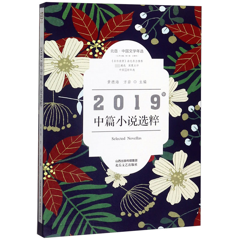 音像2019年中篇小说选粹(北岳中国文学年选)黄德海方岩