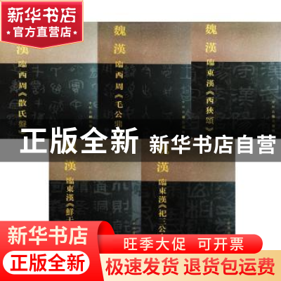 正版 中国古代金文与名碑经典意临丛帖(全5册) 魏汉著 中州古籍
