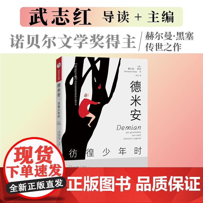 德米安:彷徨少年时 赫尔曼·黑塞, 译者:任兵, 主编:武志红 北京联合出版有限公司 正版书籍