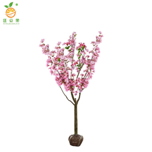 廷豪果 海棠树 8公分 /棵