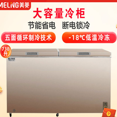 美菱(MELING)738升冰柜 冷柜 卧式大容量商用 冷藏冷冻转换 深冷速冻BC/BD-738DTX