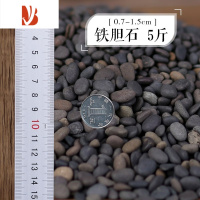 三维工匠酒店垃圾桶箱烟灰缸灭烟用白石子办公楼装饰彩色石子鹅卵小白石头