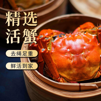 [活蟹]大闸蟹螃蟹3.3两公2.3两母10只装中秋礼盒 精品活蟹河蟹鲜活直发