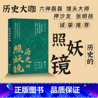 标准 [正版]历史的照妖镜 烟雨 萧十一著 以岳飞之死为镜像 多维度剖析权力游戏与人性大戏 历史知识读物六神磊磊馒头大