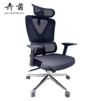 卉茵 办公椅 49*52*115cm 把