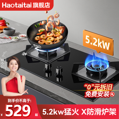 Haotaitai燃气灶2192A 煤气灶双灶家用嵌入式台式天然气炉灶 (天然气)