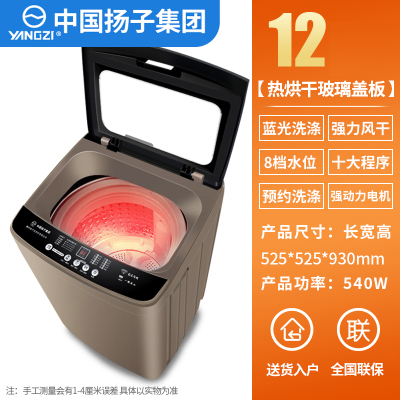扬子(YANGZI)洗衣机全自动家用10公斤大容量租房用小型宿舍 12热烘干玻璃盖板蓝光洗涤