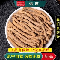 甄选远志100克干货煮水泡茶新货葽绕蕀蒬细草神砂草泡水喝正品干货