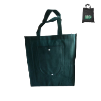 植巾 STD300 手提袋 38cm*10cm*43cm 样式:手提袋式 材质:无纺布 文件袋 1 个 绿色