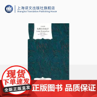 在西方目光下 [英]约瑟夫·康拉德 著 赵挺 译 译文经典 被英美学术界视为罪与罚的姊妹篇 上海译文出版社 正版