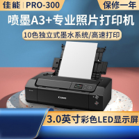 佳能(Canon)pro300彩色喷墨照片打印机专业加墨10色A3+相片照相馆影楼办公摄影艺术爱好者 PRO300彩色喷墨打印机10色打印机套餐二