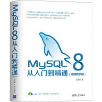 音像MySL 8从入门到精通(视频教学版)王英英