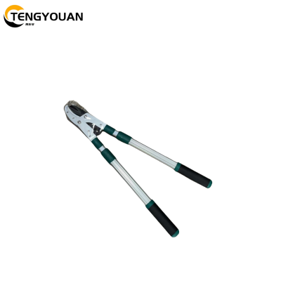 腾友安/高枝大力剪/伸缩 TYAS-11/把