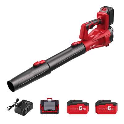 Leecbb 锂电吹风机 L7008 台