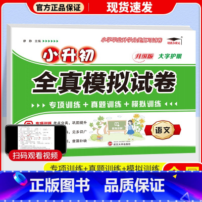 语文 小学升初中 [正版]冲刺名校小升初真题卷2023全真模拟试卷语文数学英语六年级下册小学升初中试卷测试卷人教版全套各