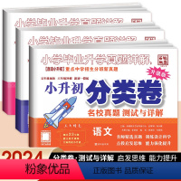 小升初分类卷3本[语数英] 小学通用 [正版]2024百校联盟小学毕业升学考试真题详解语文数学英语小升初真题卷分类卷四五