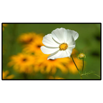 昌裕 CY-XF-D6Y85 85寸普配信发终端 壁挂一体机