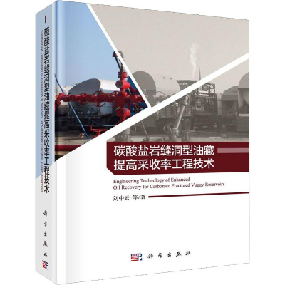 醉染图书碳酸盐岩缝洞型油藏提高采收率工程技术9787030601551