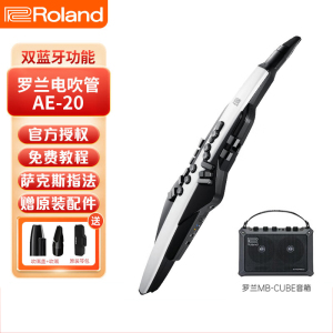 罗兰(Roland)AE20电吹管电子萨克斯吹管成人老年人电子管吹奏乐器