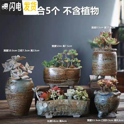 三维工匠多肉花盆陶瓷粗陶透气室内简约肉肉盆栽特大口径花盆 完美组合5个 中等花盆容器