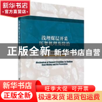 正版 浅埋煤层开采压架机理及防治 朱卫兵//许家林//鞠金峰 科学