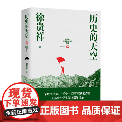 历史的天空(徐贵祥长篇军事小说典藏) 徐贵祥 长江文艺出版社 正版书籍