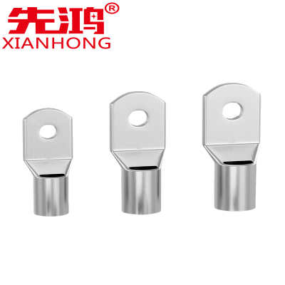 先鸿蓄电池接线端子铜鼻子接头10平方