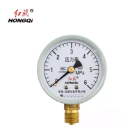 红旗 压力表定制检测款 Y60 0-6MPA块