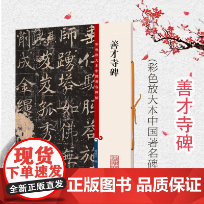 善才寺碑 彩色放大本中国著名碑帖孙宝文编上海辞书出版社 书法篆刻碑帖鉴赏毛笔字练习临摹字帖