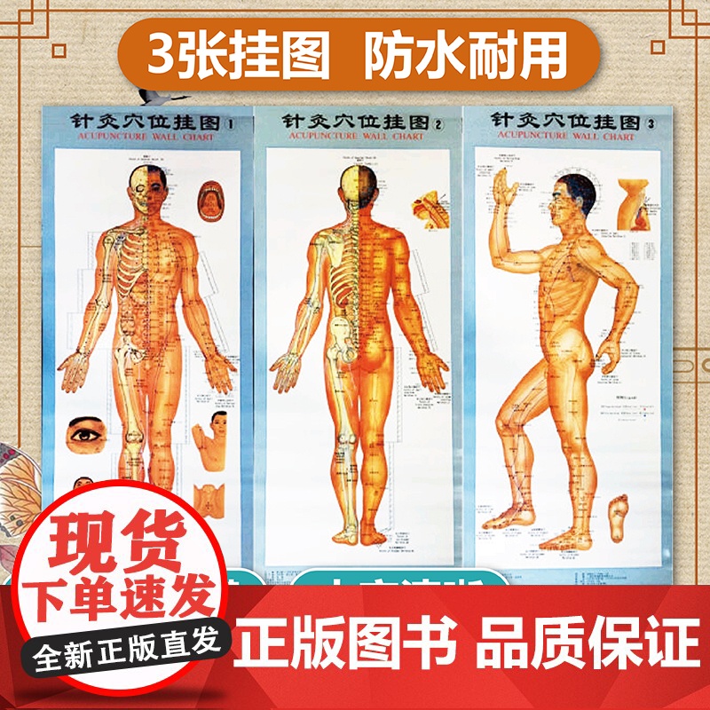 [3张]针灸穴位挂图 附说明书 高清大字彩色双面覆胶防水耐用 针灸挂图 中医针灸穴位挂图 经络穴位挂图 针灸书籍 人体针
