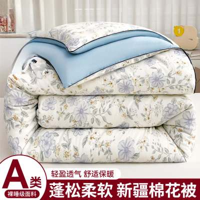 A类卡通棉花被子被芯加厚保暖冬被四季通用学生宿舍单人棉被褥被