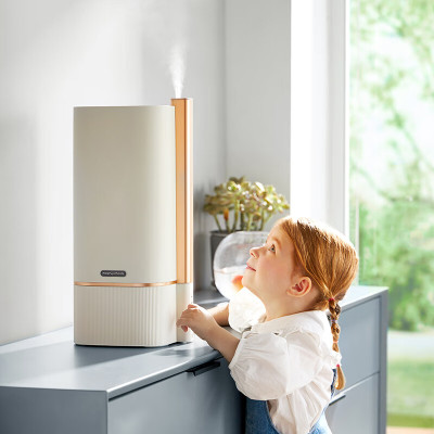 摩飞MR2082 有雾加湿器