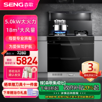 森歌(SENG)集成灶 L1ZK蒸烤一体 外观美 大容量 厨房灶具家用蒸烤箱燃气灶 液化气白色款