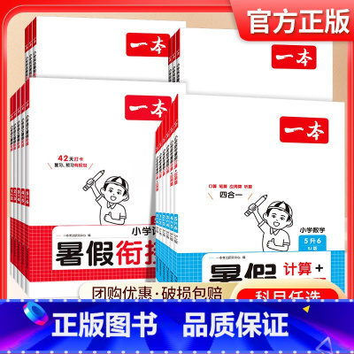 ⭐[3本--人教版]暑假阅读+口算/应用题+练字贴 一升二 [正版]2024小学暑假衔接作业+阅读训练一百篇+字帖+口算