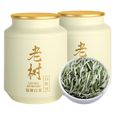 福鼎白茶叶2022特级正宗明前头采老树花香白牡丹王高山老白茶500g