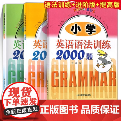 小学英语语法训练2000题基础提高版进阶版全3册适用于三年级四年级五六年级学生使用练习书习题册语法大全提高英语能力英语打