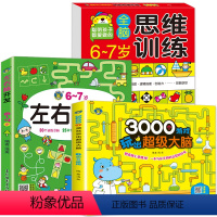 [正版]3册6-7岁左右脑智力开发儿童潜能开发全书3000个游戏玩出超级大脑开发训练书六到七岁全脑幼儿数学启蒙逻辑思维