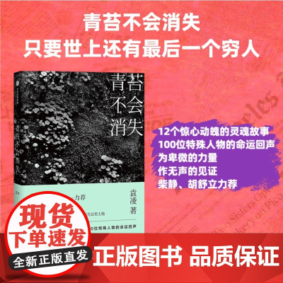 青苔不会消失 袁凌著 只要世上还有一个穷人 袁凌 著 柴静、胡舒立 12个惊心动魄的灵魂故事 现代文学书