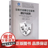 压电式信息安全管理:理论实践 刘晨晖,王能民 著 计算机软件工程(新)专业科技 正版图书籍 西安交通大学出版社