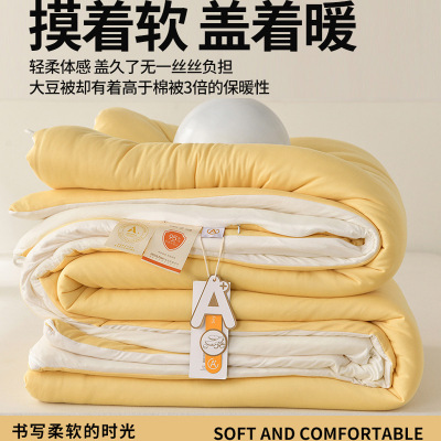 A类软糯被春秋被夏季被薄被子保暖加厚冬季大豆纤维被芯冬被