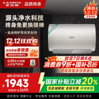 AO史密斯佳尼特60升电热水器 金圭内胆 双棒分离速热 免换镁棒 免清洗 CTE-60JC3-B