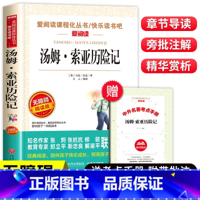汤姆·索亚历险记(赠考点手册) [正版]鲁滨逊漂流记全套六年级下册必读的课外书汤姆索亚历险记快乐读书吧尼尔斯骑鹅旅行记原