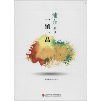 音像浦东新区一镇一品本书编委会 编著