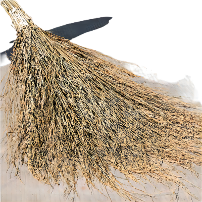 好企来 大扫把 竹扫把 3.5斤带叶竹枝连体