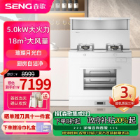 森歌(SENG)集成灶 L1ZK蒸烤一体 外观美 大容量 厨房灶具家用蒸烤箱燃气灶 液化气白色款