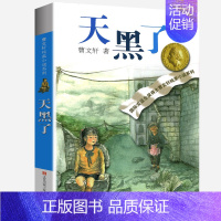 天黑了 [正版]青铜葵花全套曹文轩纯美小说系列初中小学生课外阅读书籍三四五六年级经典书目江苏凤凰少年儿童出版社安徒生儿童