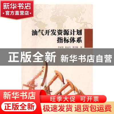 正版 油气开发资源计划指标体系 李家强,赵益民,秦宗瑜编 中国
